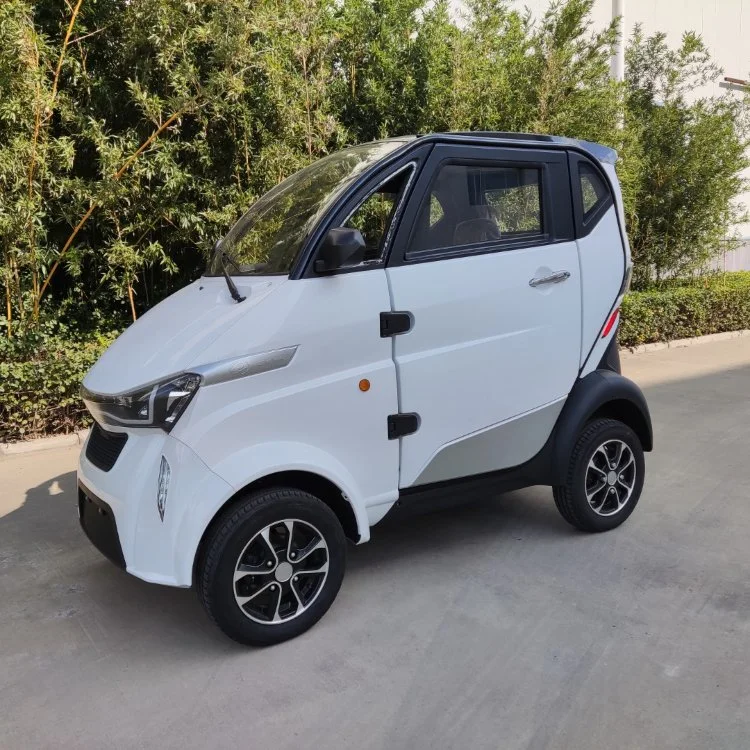 Aluminum Alloy Hub OEM Rechargeable Lithium Battery Cheap Electric Van Vehicle Cargo Truck with Safety Belts